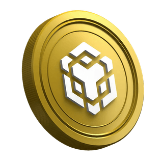 Uuden kauppiaan opas -sivu, jolla näkyy Binance BNB -kryptovaluuttakolikko